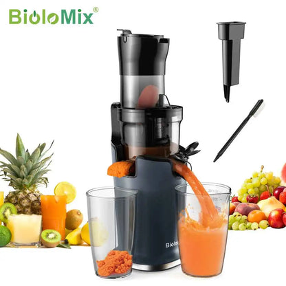 NeoBlends BioloMix Cold Press Juicer SJ-017